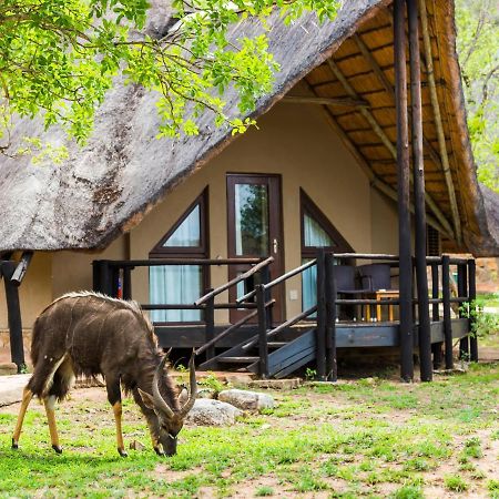 Aha Bongani Mountain Lodge Luphisi Luaran gambar