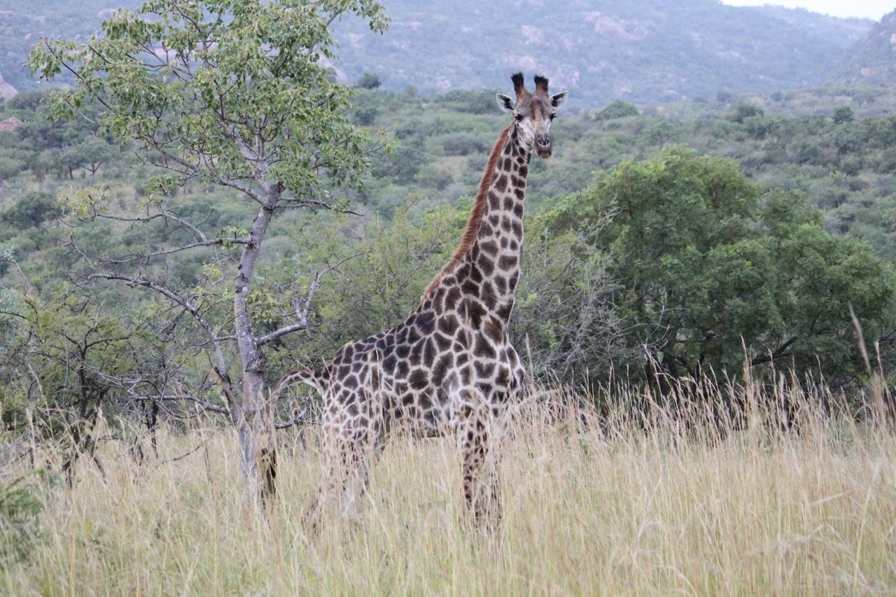 Aha Bongani Mountain Lodge Luphisi Luaran gambar