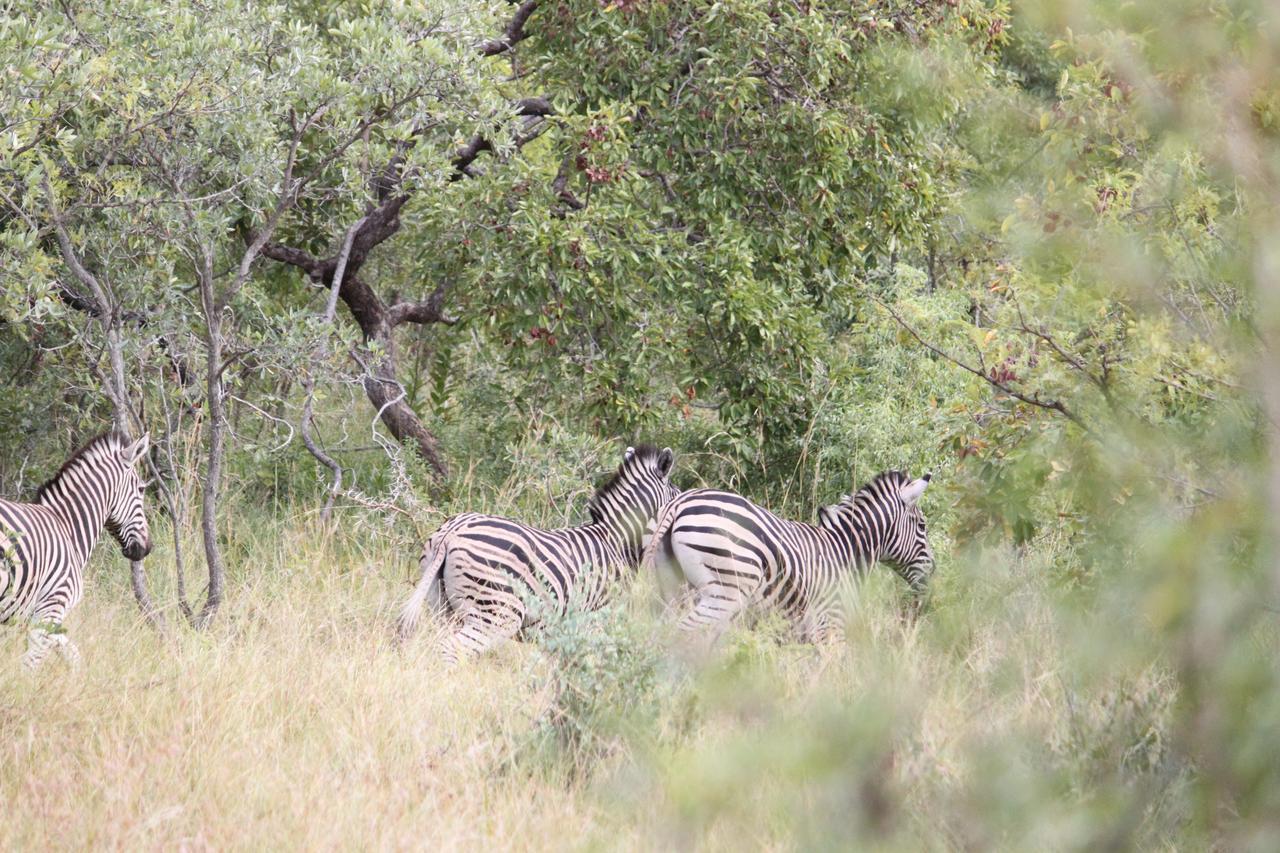 Aha Bongani Mountain Lodge Luphisi Luaran gambar