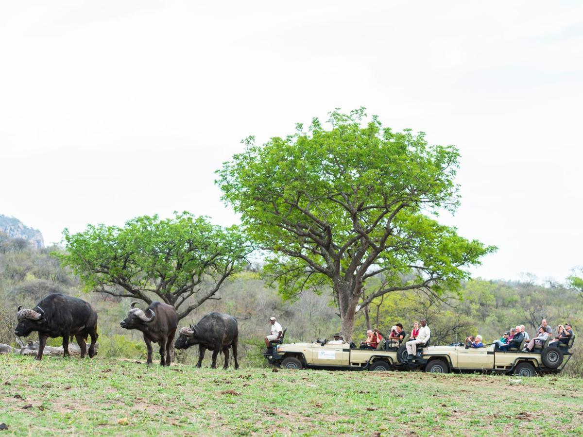 Aha Bongani Mountain Lodge Luphisi Luaran gambar